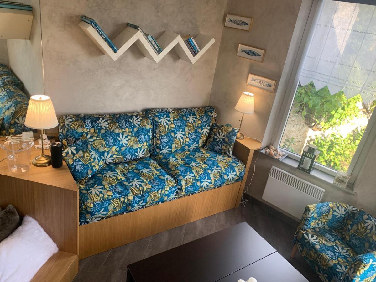 פלנף-ואל-אנדרה Studio De Charme "Le Coquillage " Jacuzzi Privatif מראה חיצוני תמונה